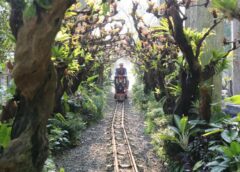 Eksplorasi SQP Park di Gading Serpong, Hutan Kota, dan Satwa Menarik dalam Satu Area