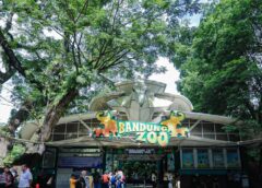 Kemenhut Bertanggung Jawab Merawat Satwa di Kebun Binatang Bandung